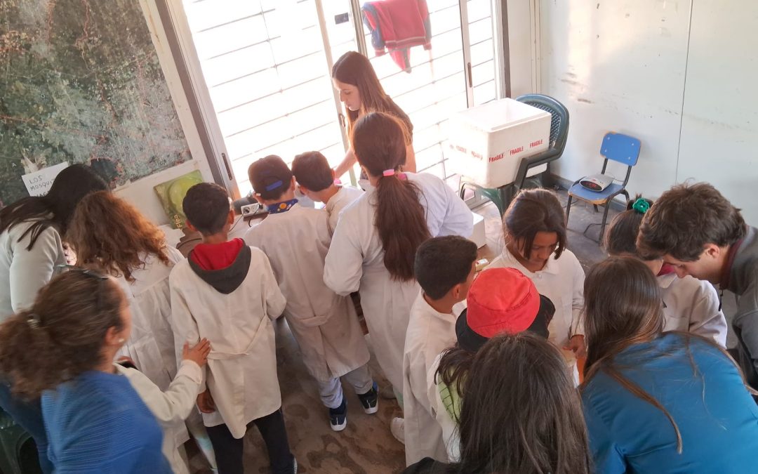 Project-Based Learning to incorporate learning tools in students of different ages, educational and social contexts – School of Veterinary Medicine (UdelaR)