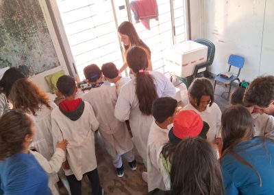 Project-Based Learning to incorporate learning tools in students of different ages, educational and social contexts – School of Veterinary Medicine (UdelaR)